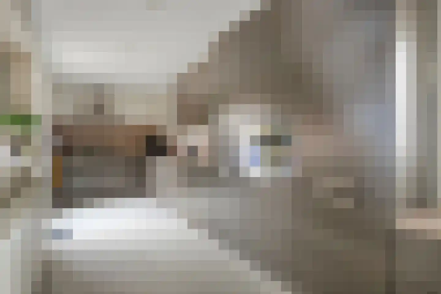 Dijkstraat 16 Sas van Gent thumbnail 11