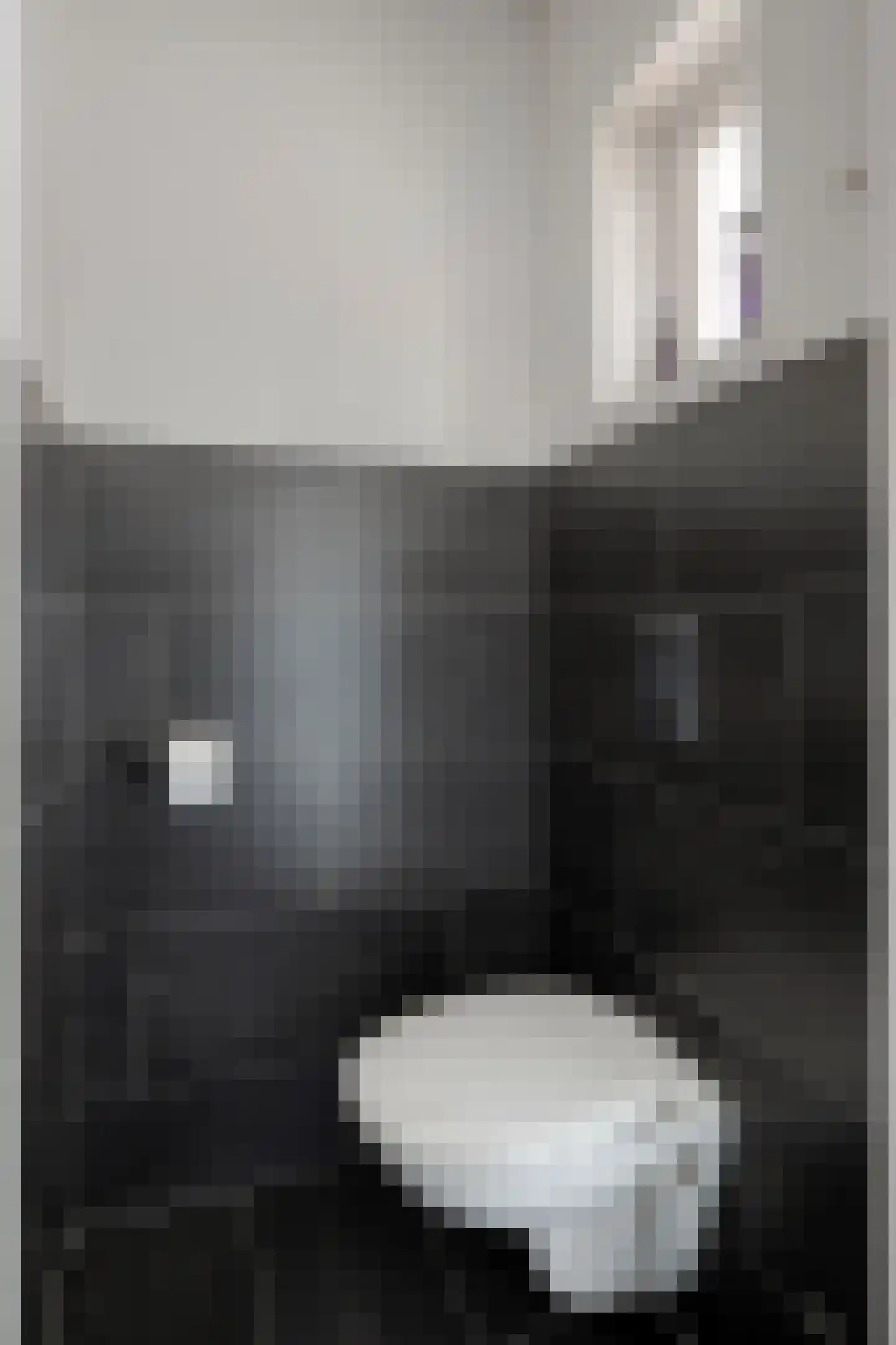 Dijkstraat 16 Sas van Gent thumbnail 6