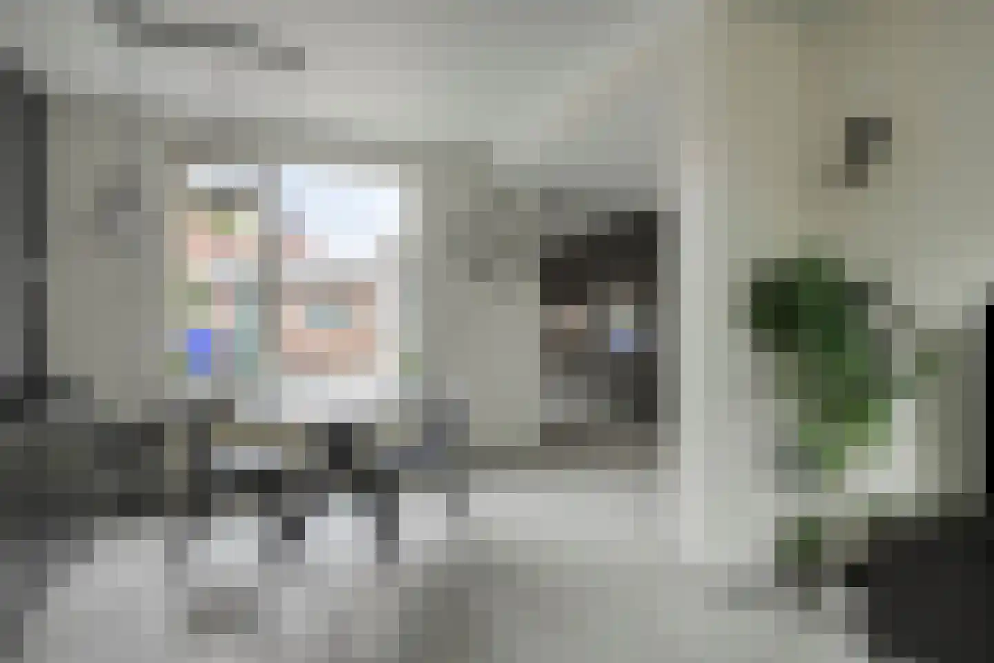 Dijkstraat 16 Sas van Gent thumbnail 8