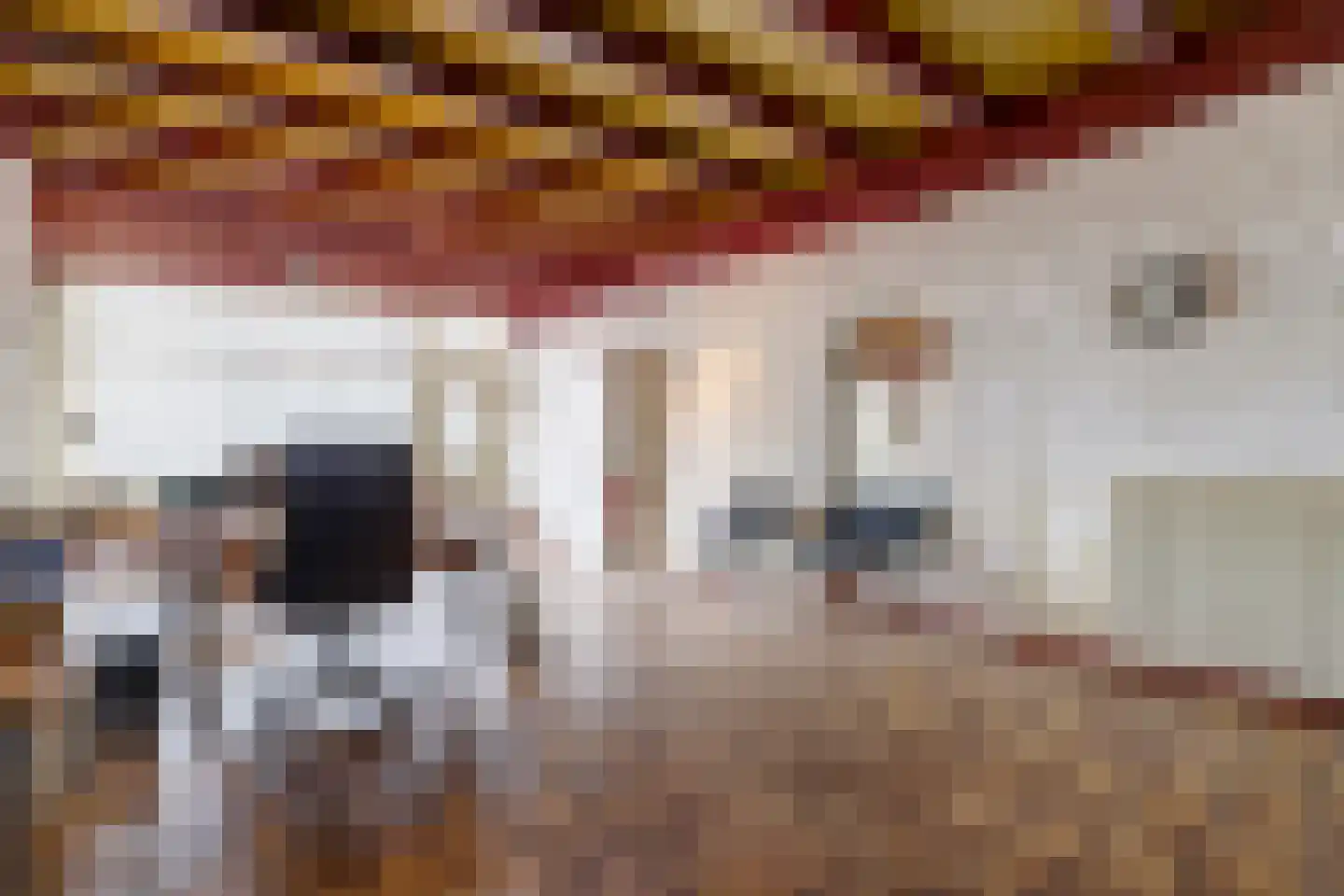 Dijkstraat 16 Wijk bij Duurstede thumbnail 7
