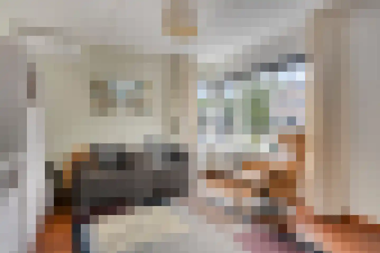 Dijkstraat 162 Veenendaal thumbnail 5