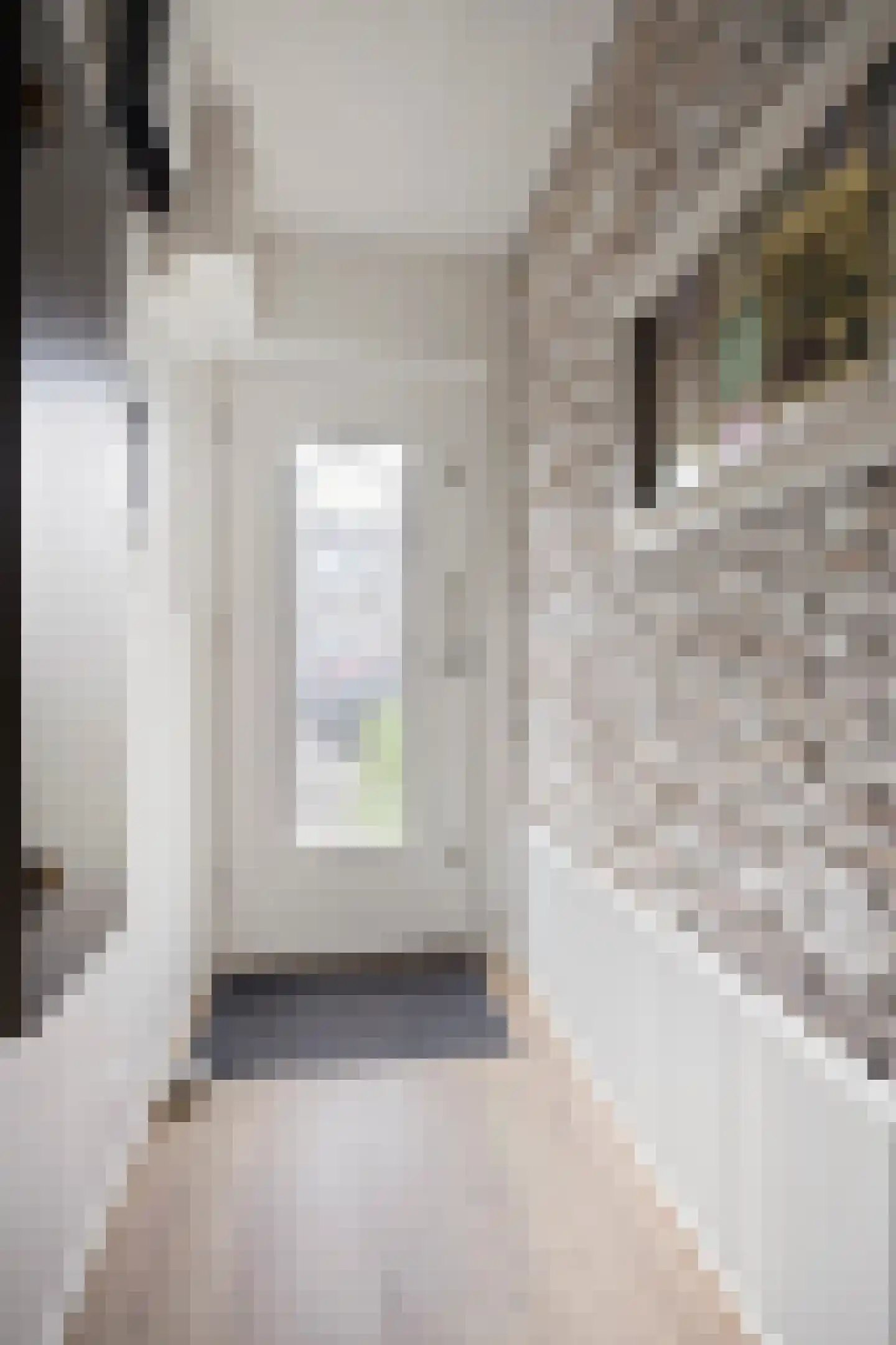 Dijkstraat 18 Breda thumbnail 6