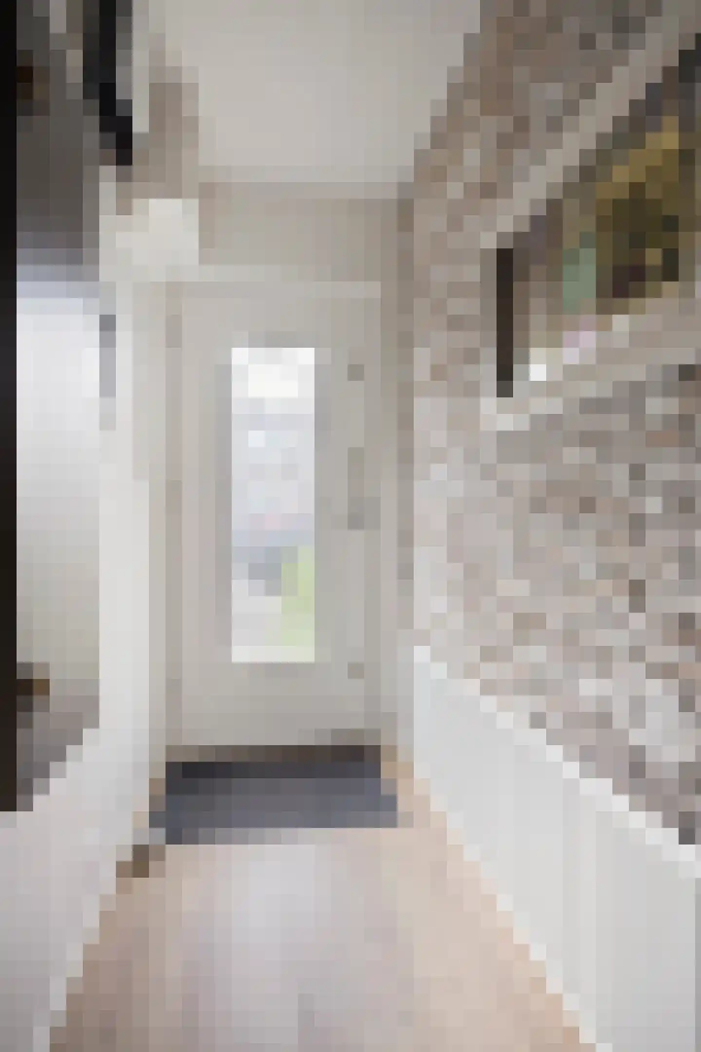 Dijkstraat 18 Breda thumbnail 6