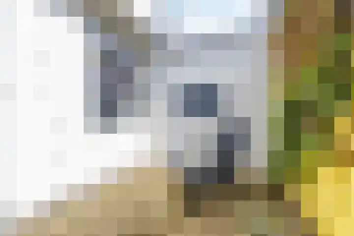 Dijkstraat 19 Groningen thumbnail 23