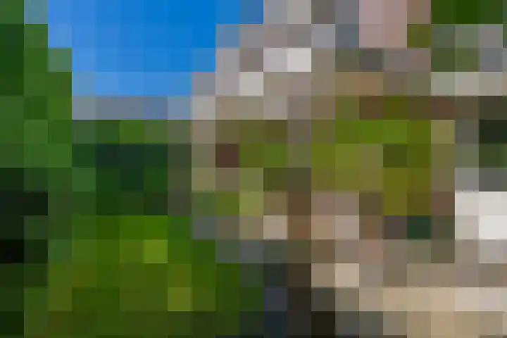 Dijkstraat 2 B Wageningen thumbnail 36