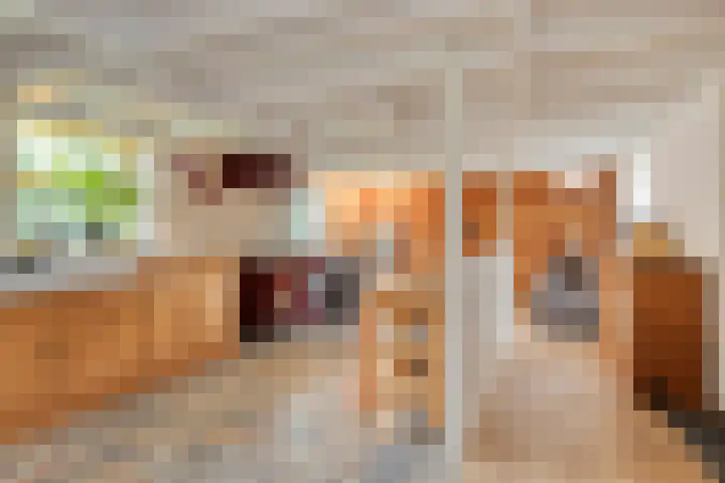 Dijkstraat 2 Ellewoutsdijk thumbnail 17