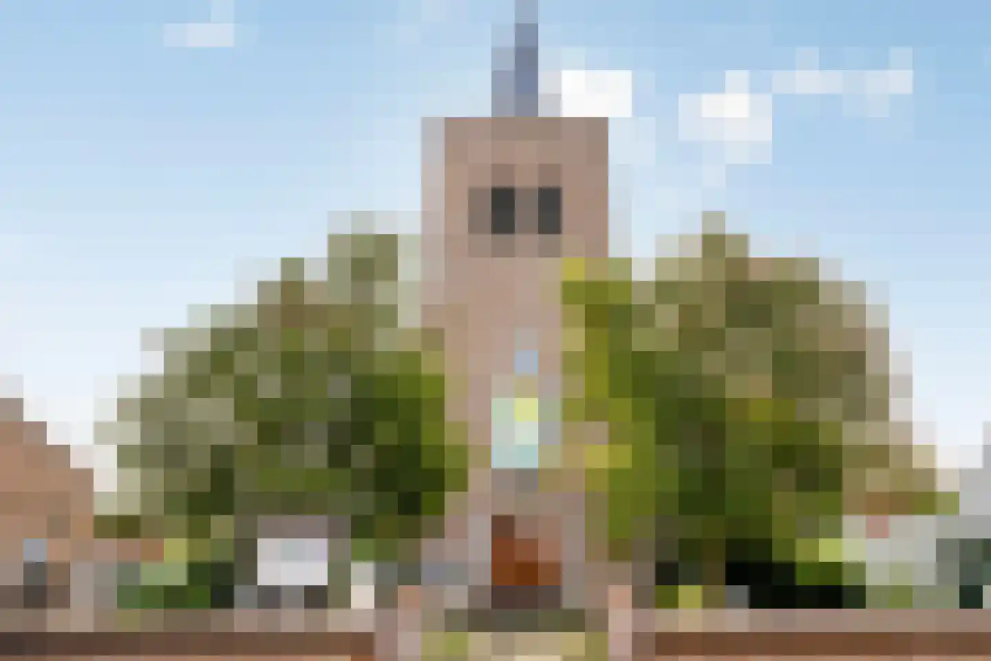 Dijkstraat 2 Ellewoutsdijk thumbnail 37