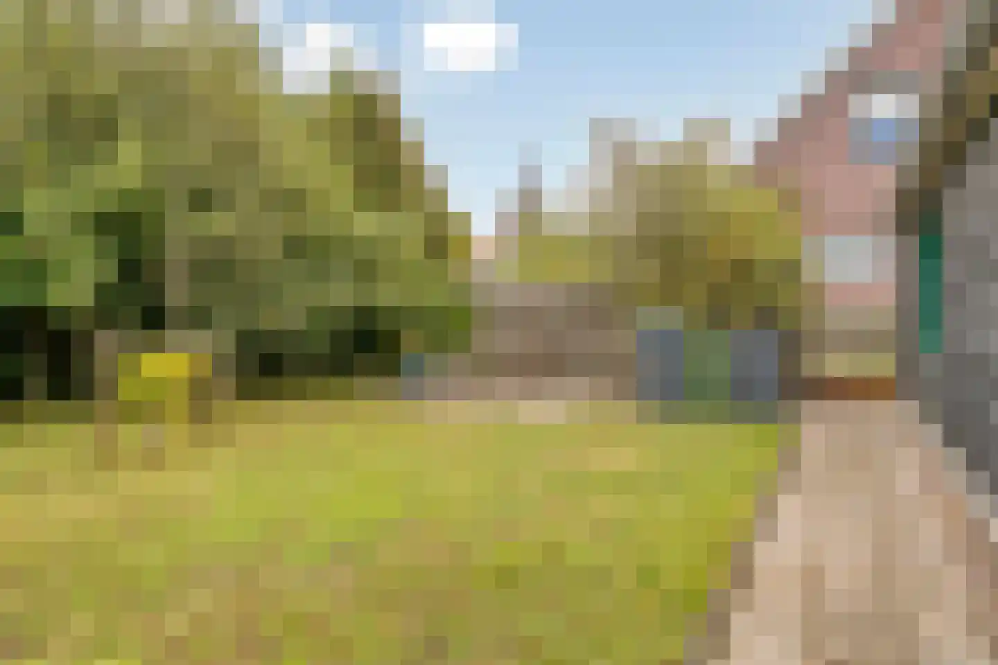 Dijkstraat 2 Ellewoutsdijk thumbnail 9