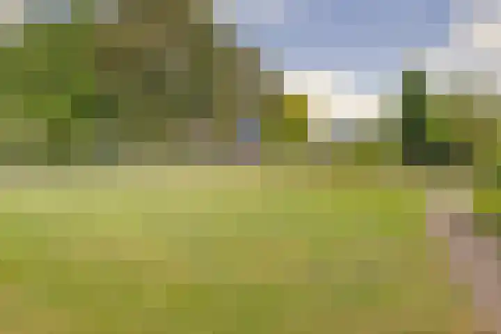 Dijkstraat 2 Oosterhout thumbnail 4