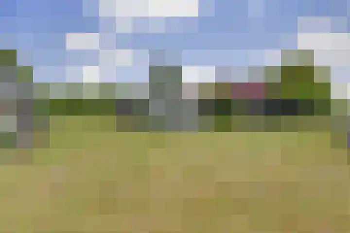 Dijkstraat 2 Oosterhout thumbnail 9