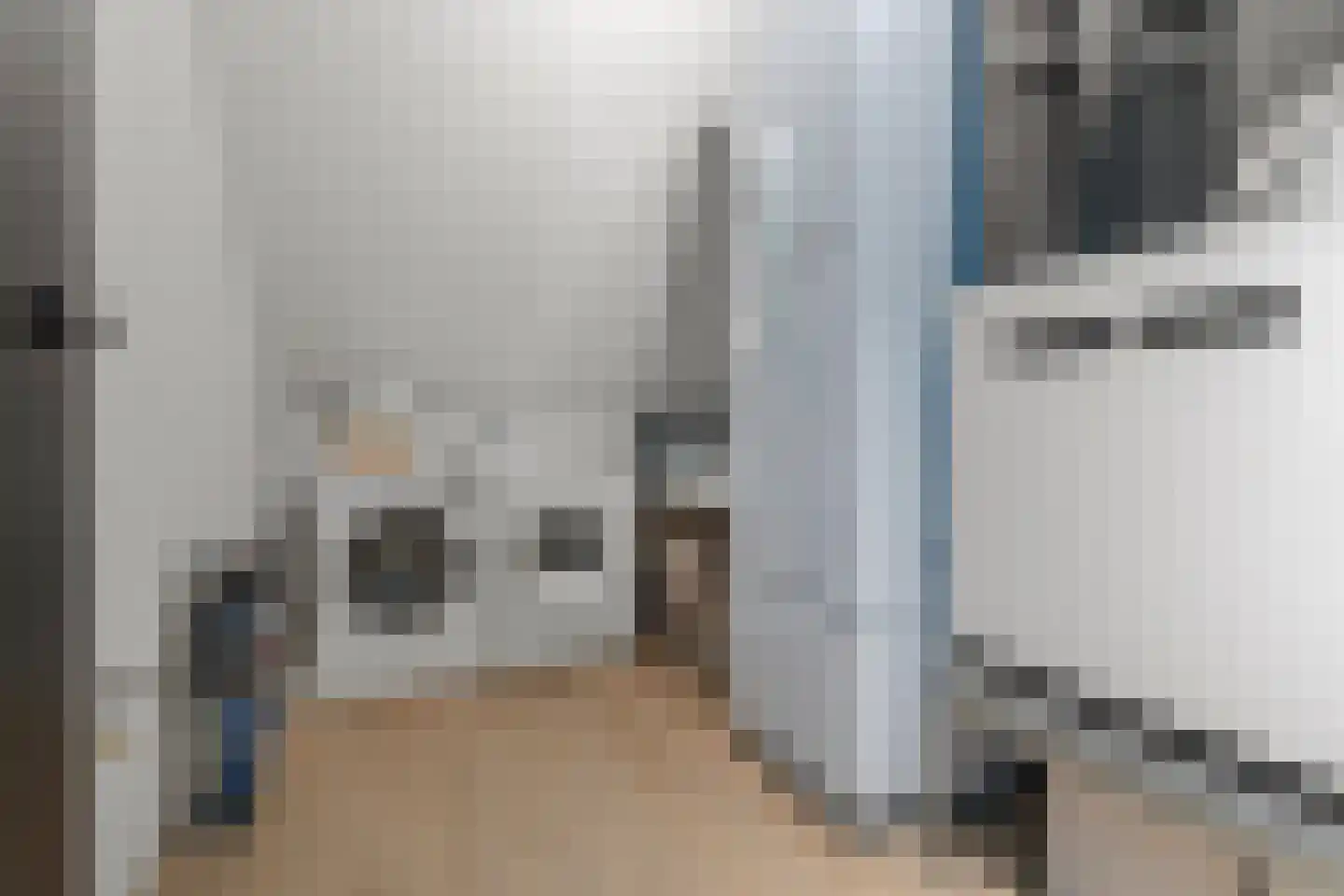 Dijkstraat 20 Hoef en Haag thumbnail 32