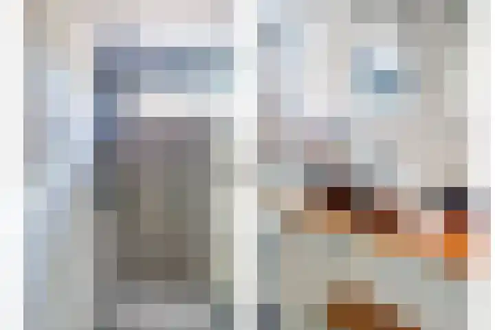 Dijkstraat 20 Honselersdijk thumbnail 30