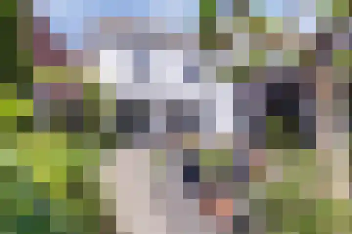 Dijkstraat 20 Honselersdijk thumbnail 33