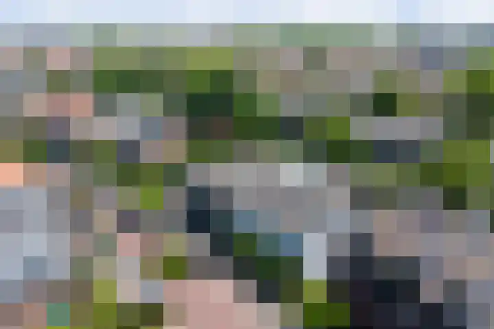 Dijkstraat 20 Honselersdijk thumbnail 43