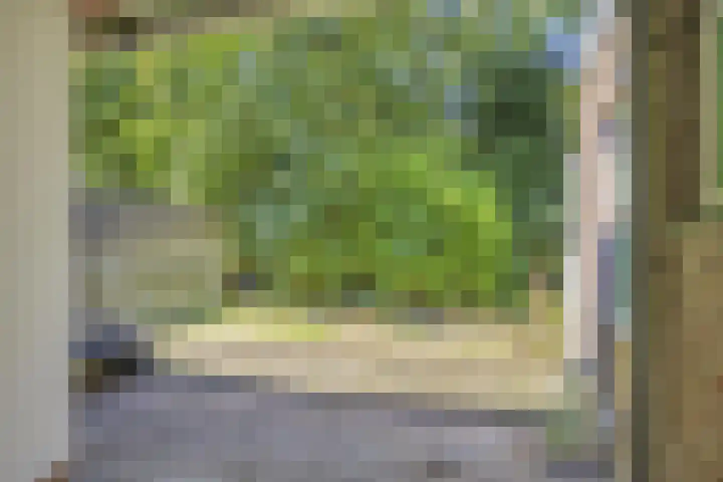 Dijkstraat 20 Kampen thumbnail 29