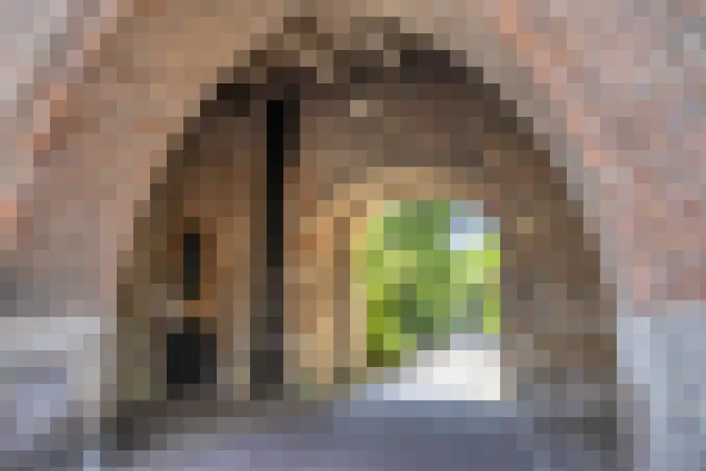 Dijkstraat 20 Kampen thumbnail 36