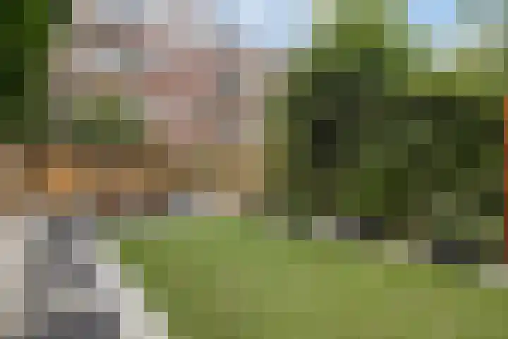 Dijkstraat 21 A Rotterdam thumbnail 16