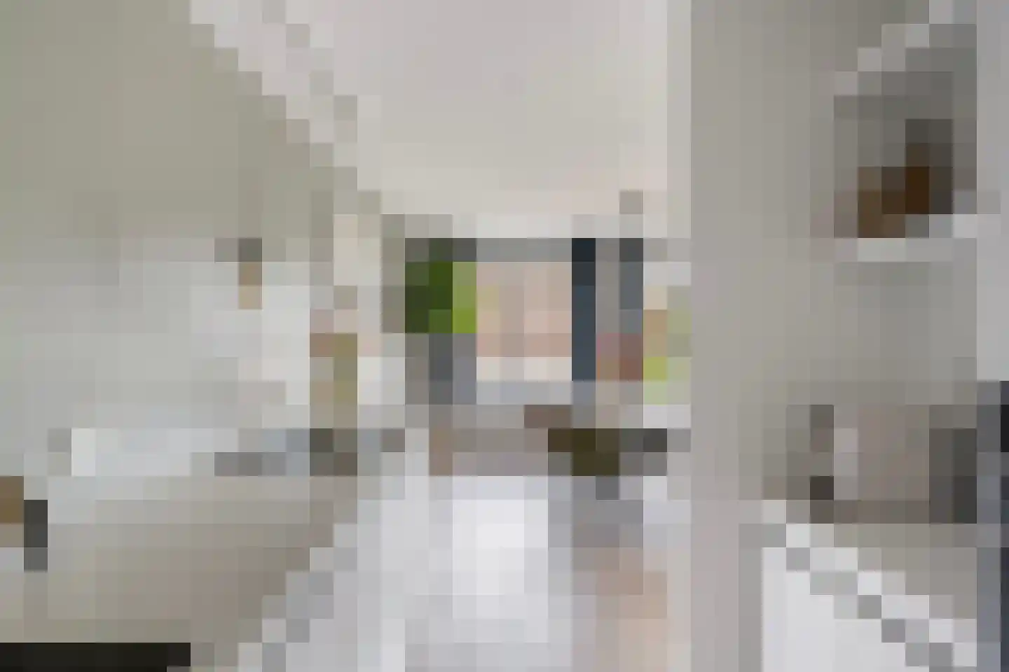 Dijkstraat 21 Zwolle thumbnail 20