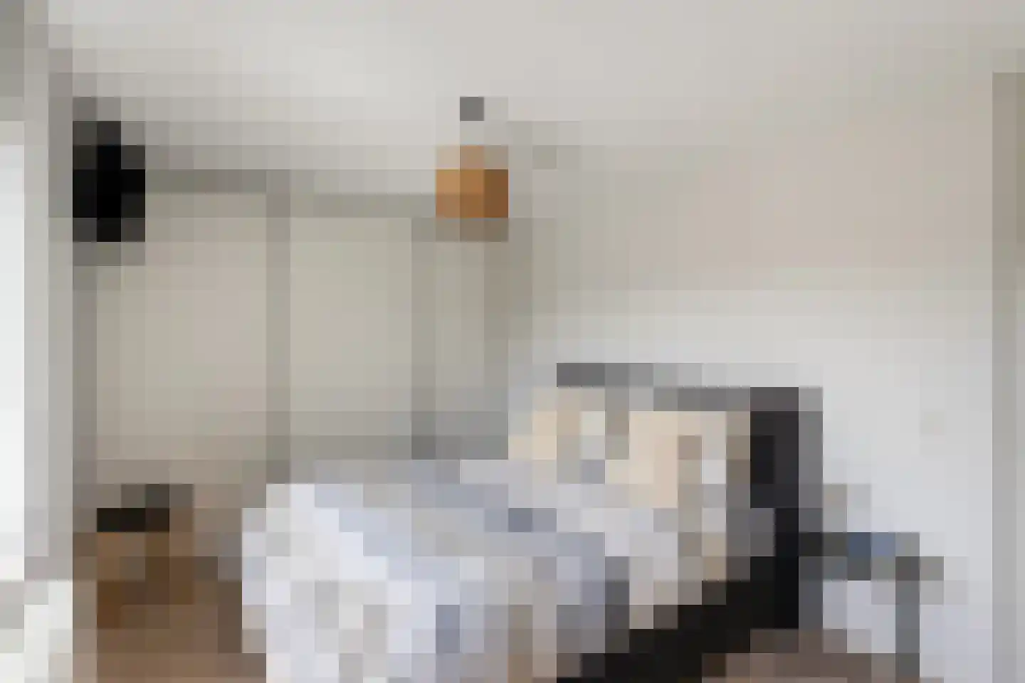 Dijkstraat 21 Zwolle thumbnail 23