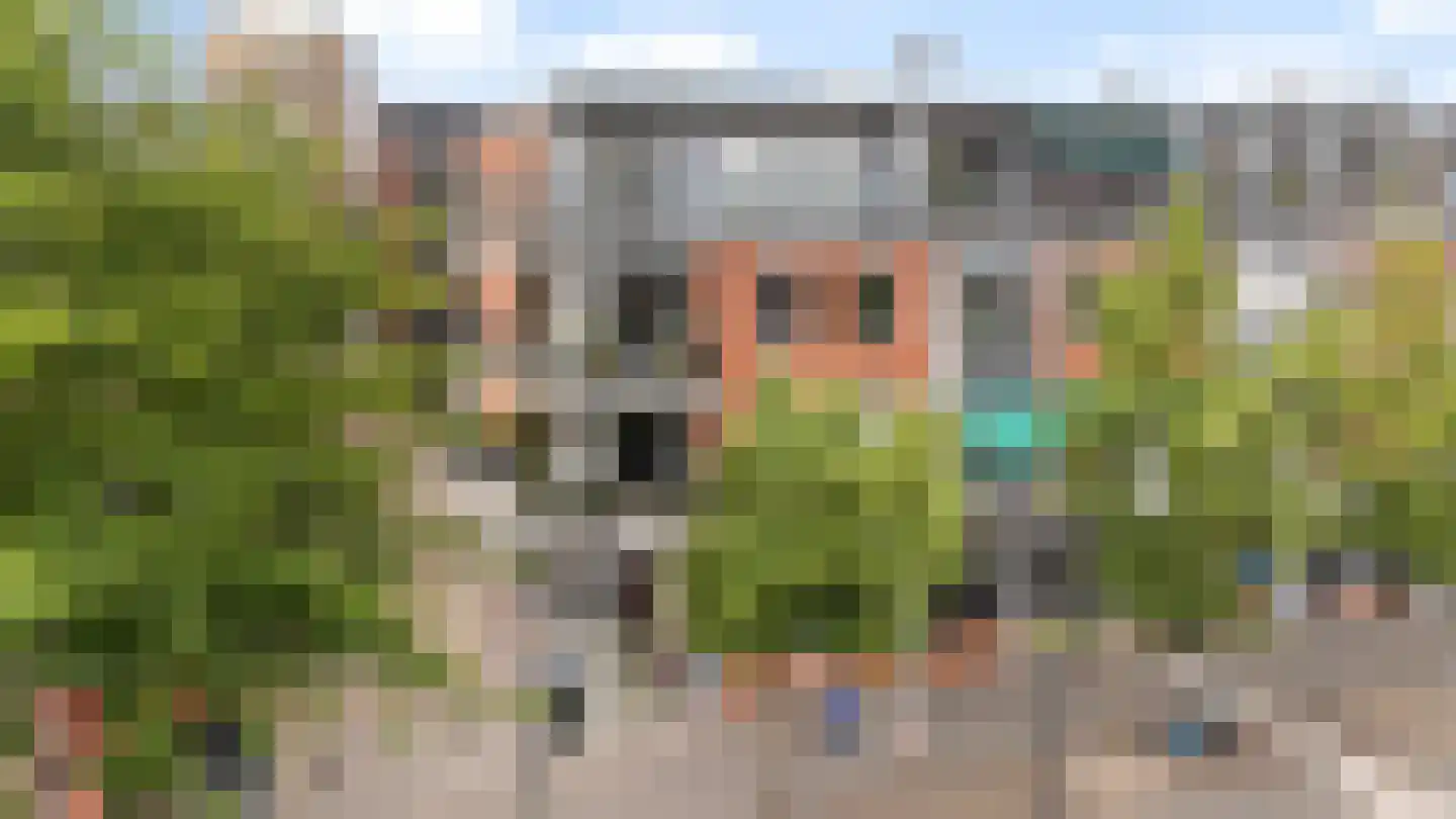 Dijkstraat 21 Zwolle thumbnail 30