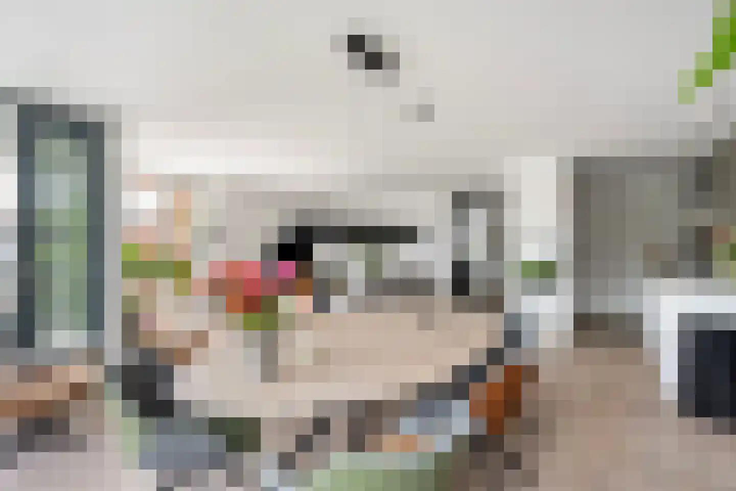Dijkstraat 21 Zwolle thumbnail 4