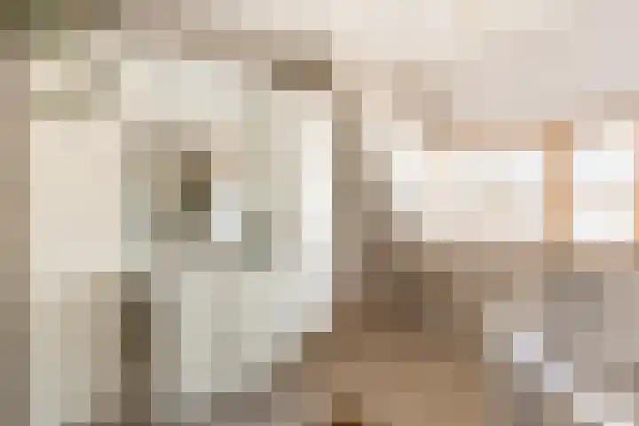 Dijkstraat 22 Sprang-Capelle thumbnail 24