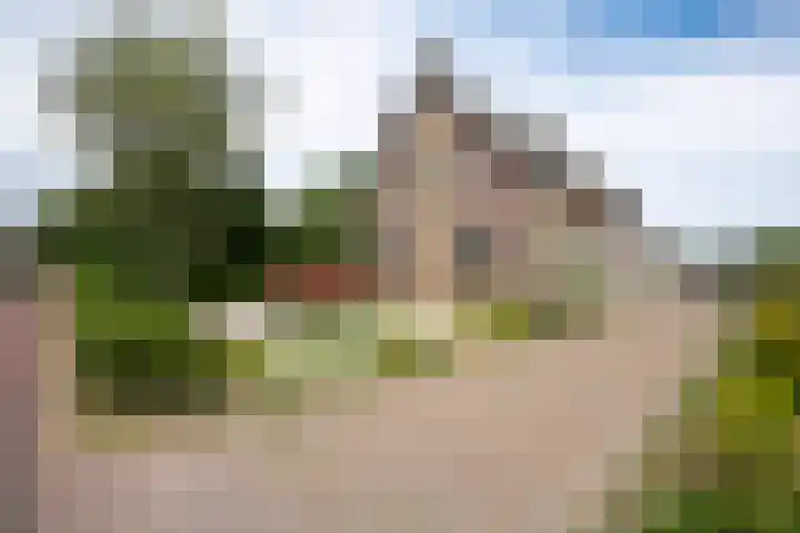 Dijkstraat 22 Sprang-Capelle thumbnail 30