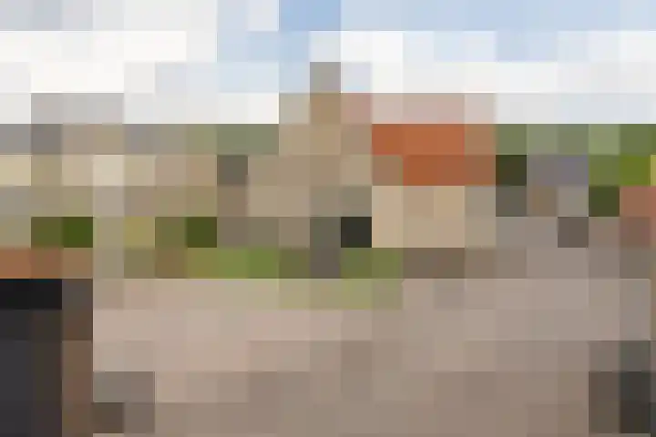 Dijkstraat 22 Sprang-Capelle thumbnail 5