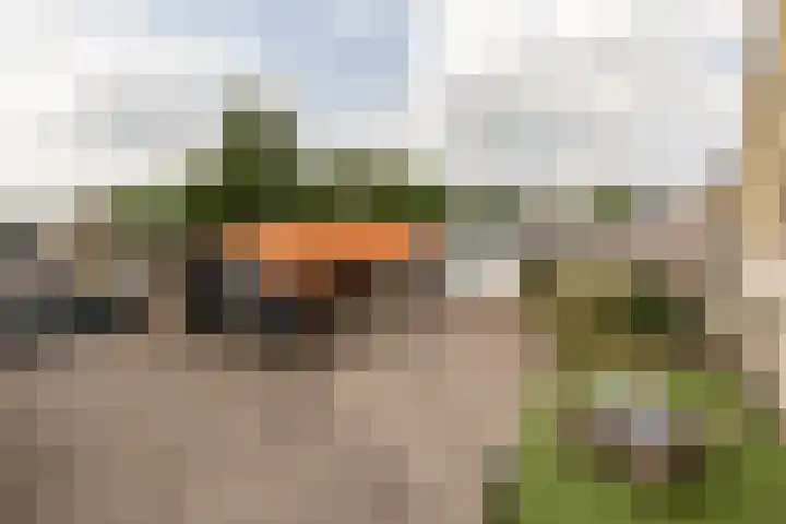 Dijkstraat 22 Sprang-Capelle thumbnail 8