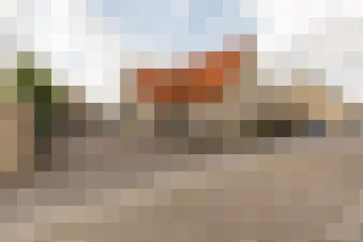 Dijkstraat 22 Sprang-Capelle thumbnail 9
