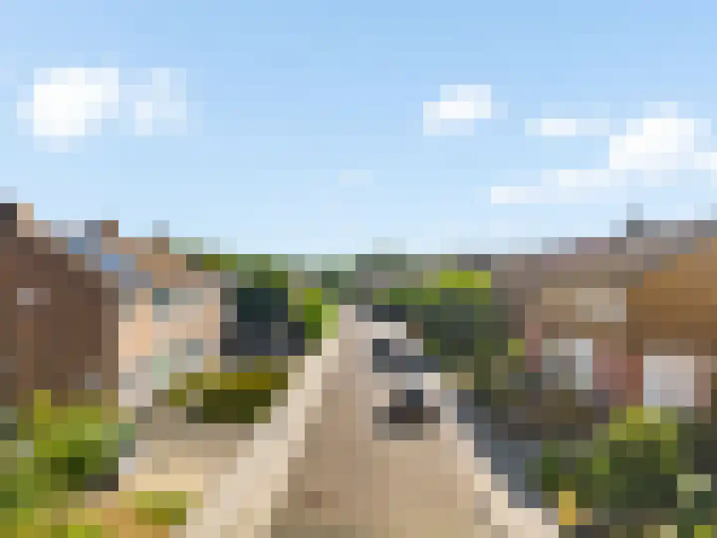 Dijkstraat 22 Voerendaal thumbnail 43