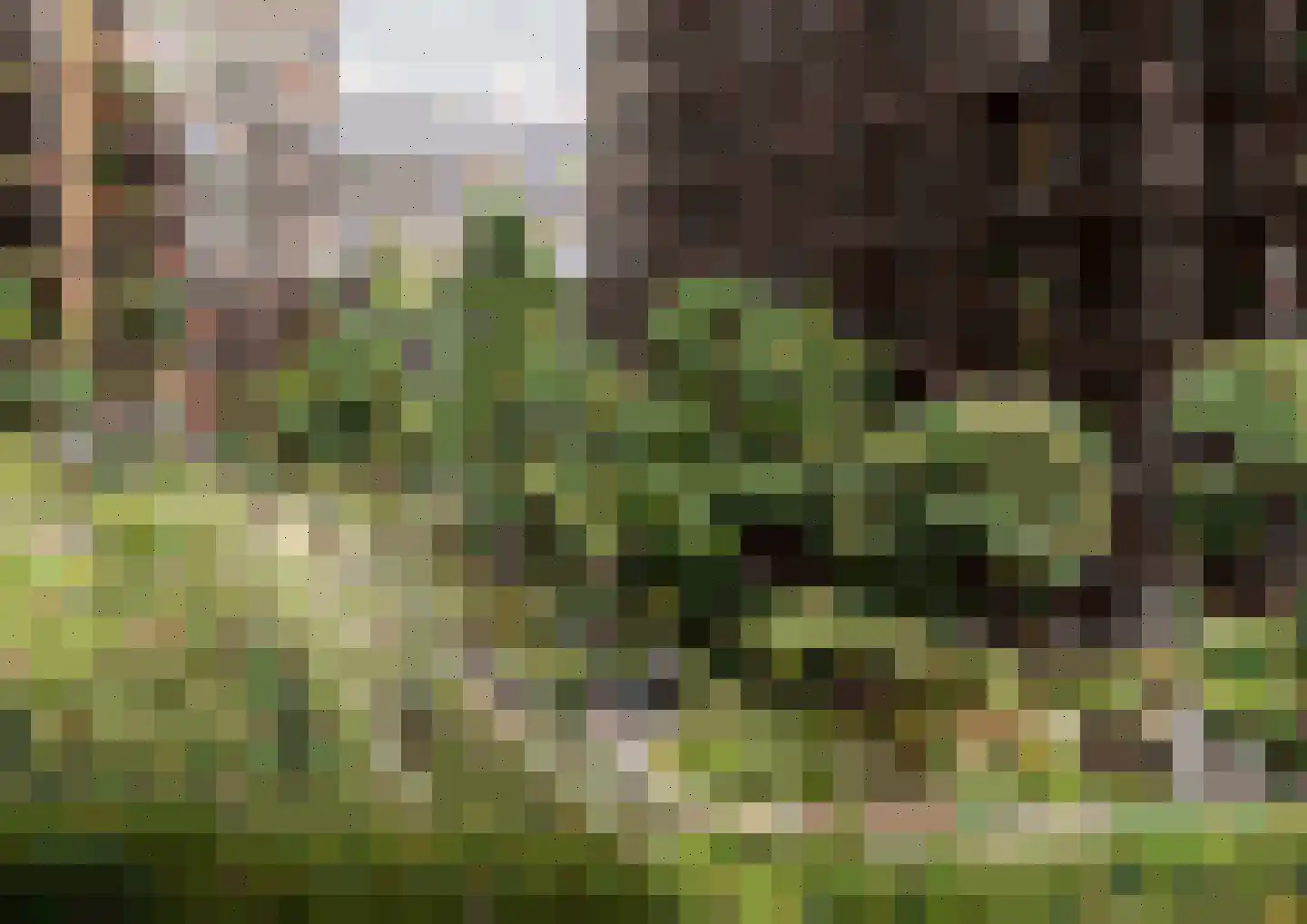 Dijkstraat 23 Brielle thumbnail 10