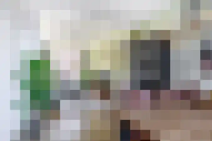 Dijkstraat 23 Brielle thumbnail 9