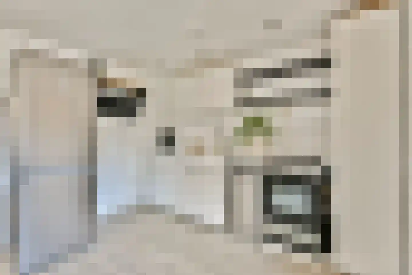 Dijkstraat 23 Den Oever thumbnail 10