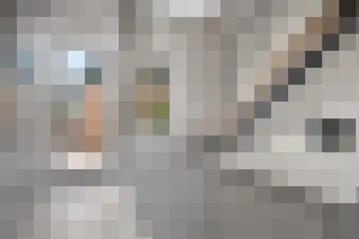 Dijkstraat 23 Den Oever thumbnail 17