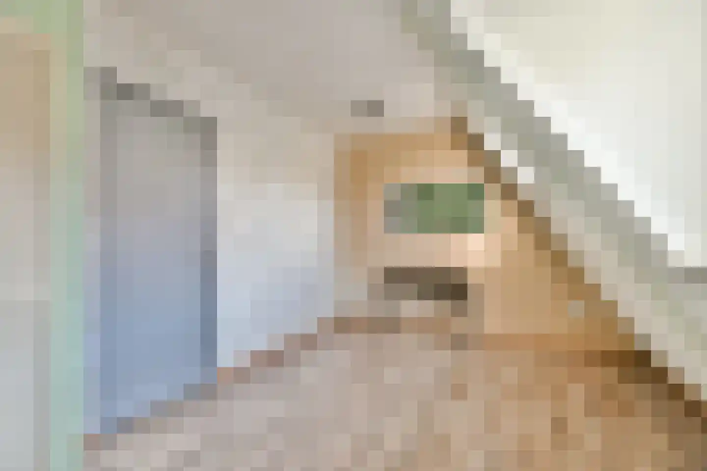 Dijkstraat 23 Den Oever thumbnail 21