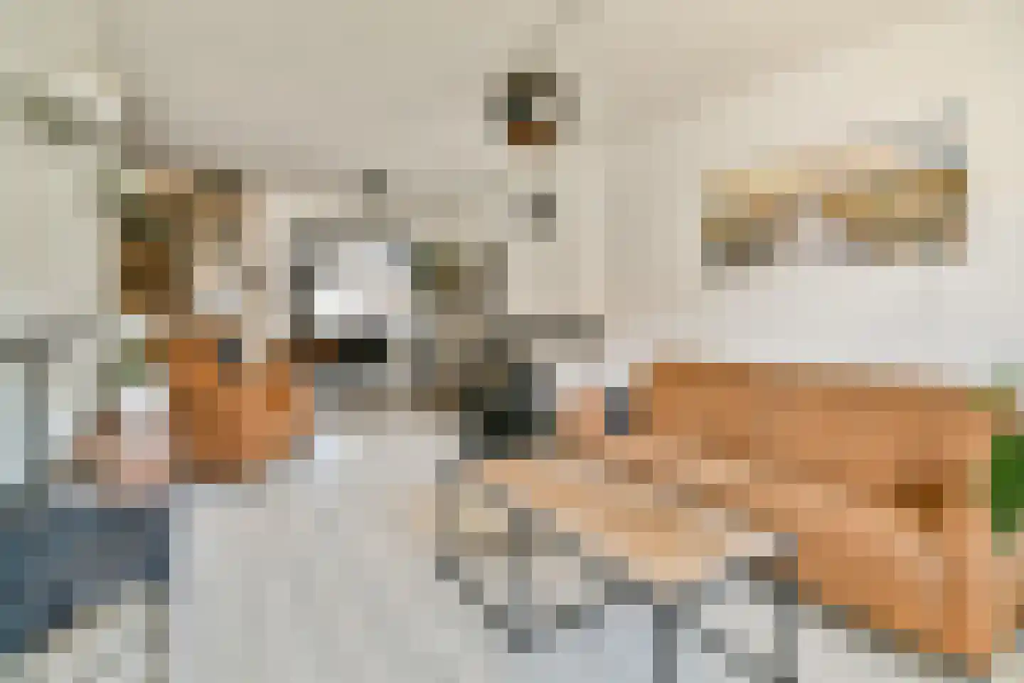 Dijkstraat 23 Den Oever thumbnail 5