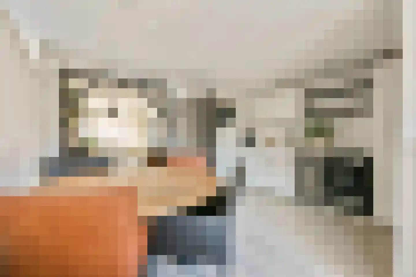 Dijkstraat 23 Den Oever thumbnail 8