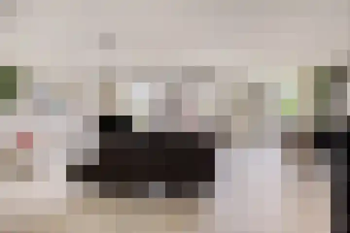 Dijkstraat 23 Zwolle thumbnail 7