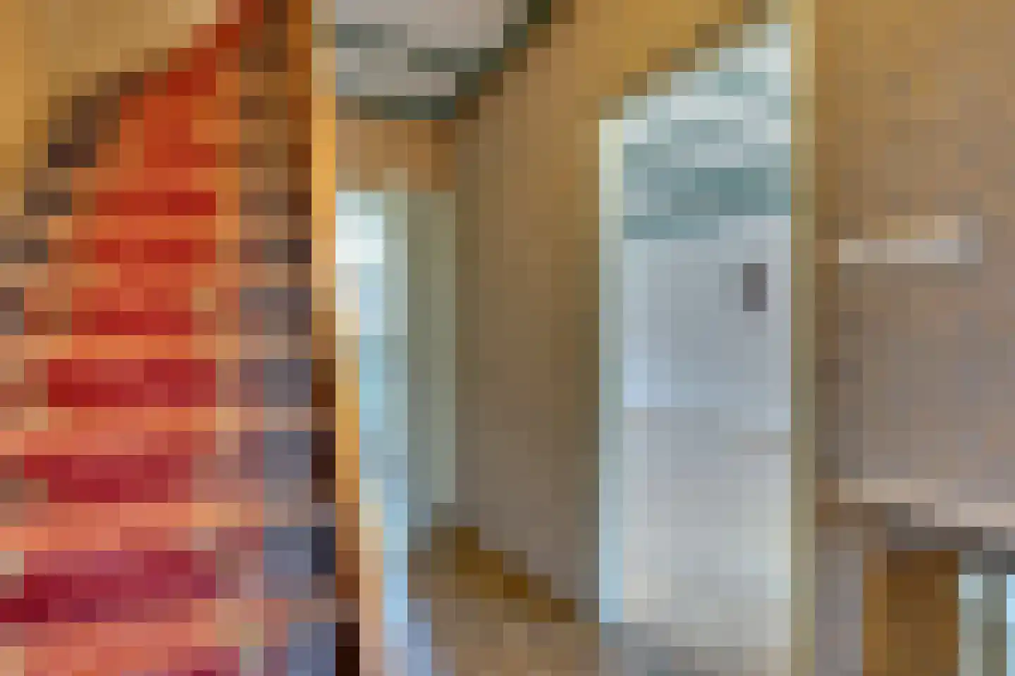 Dijkstraat 24 Lichtenvoorde thumbnail 5