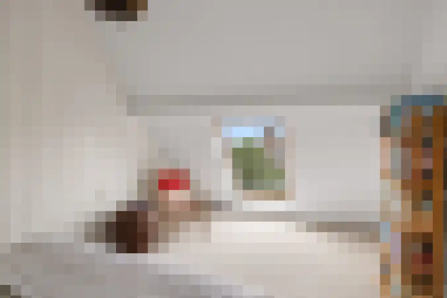 Dijkstraat 25 Wijk bij Duurstede thumbnail 41