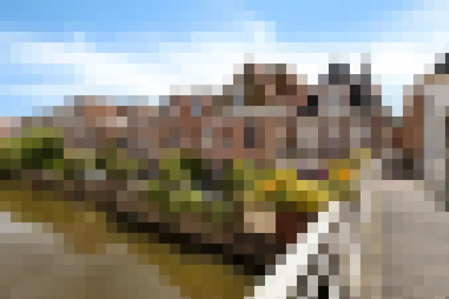 Dijkstraat 27 Appingedam thumbnail 10
