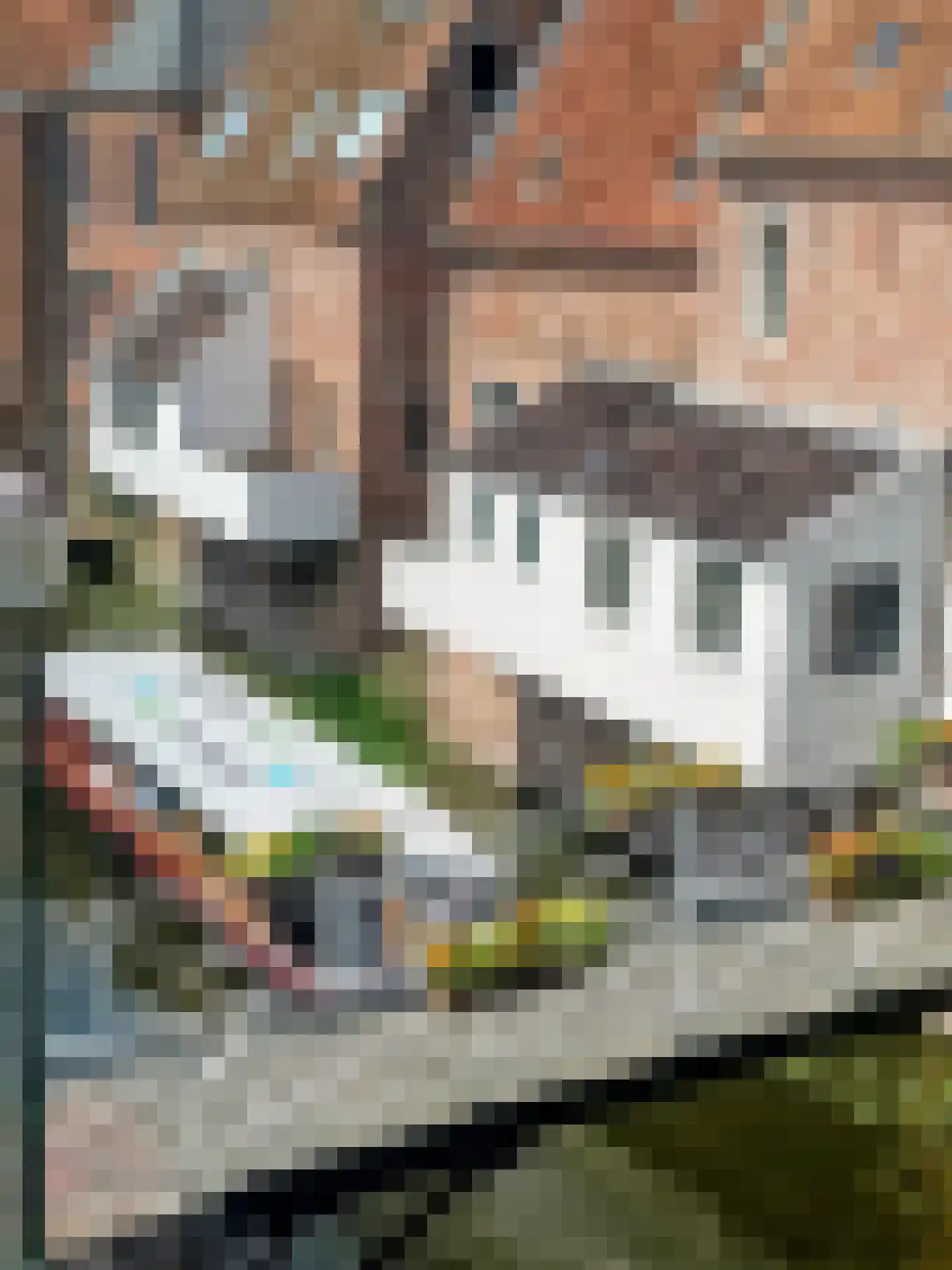 Dijkstraat 27 Appingedam thumbnail 20