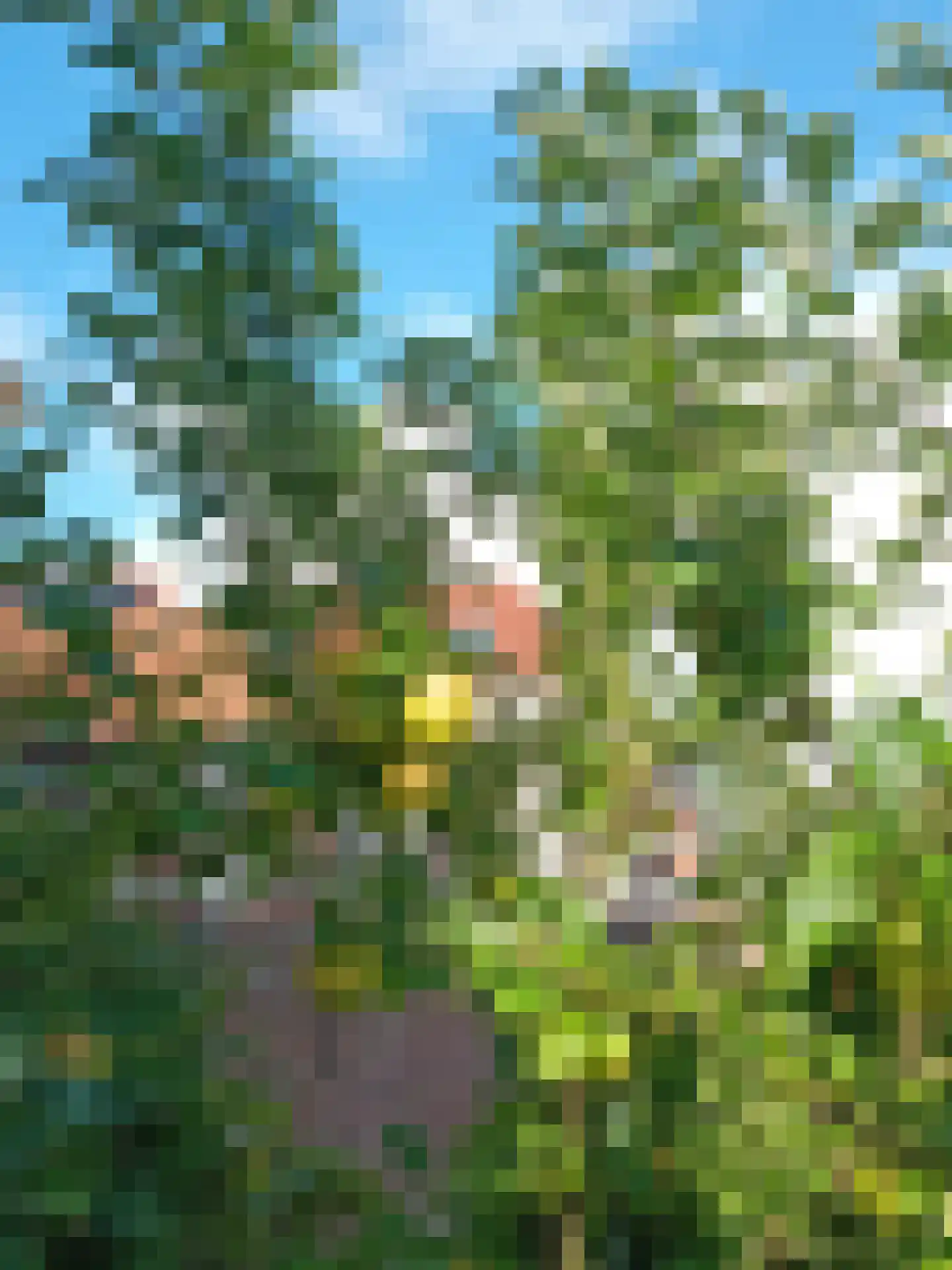 Dijkstraat 27 Appingedam thumbnail 29