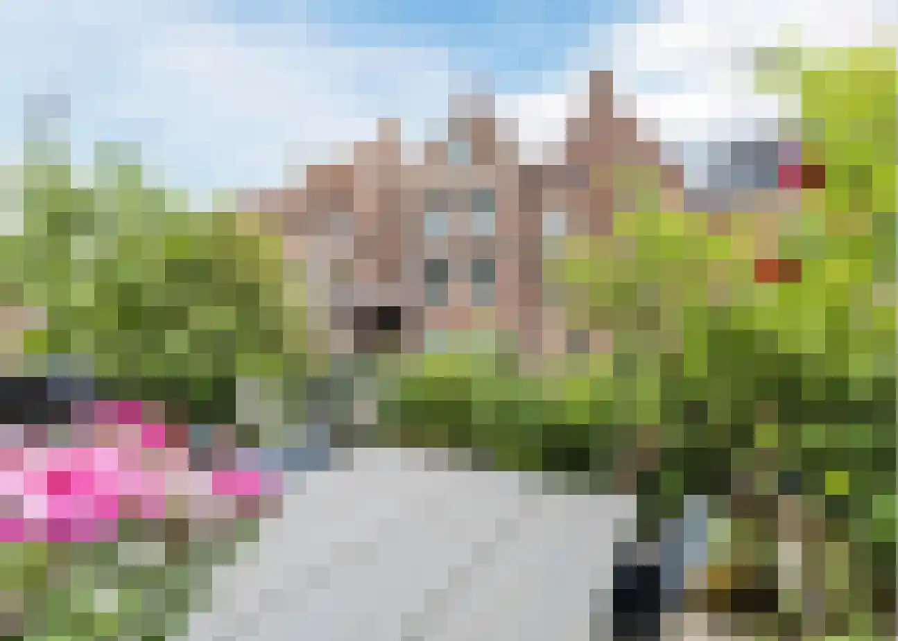 Dijkstraat 27 Appingedam thumbnail 30
