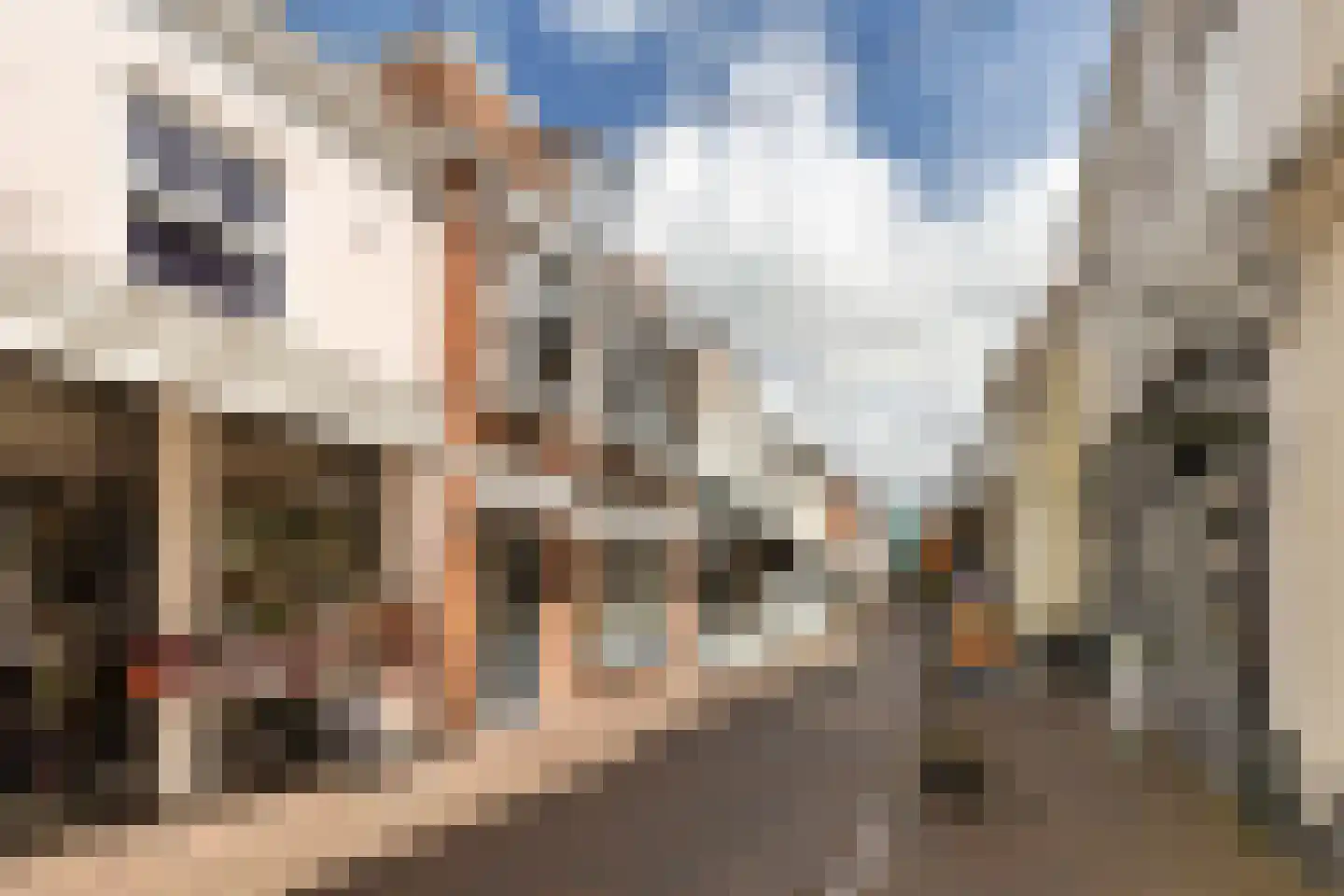 Dijkstraat 27 Appingedam thumbnail 6