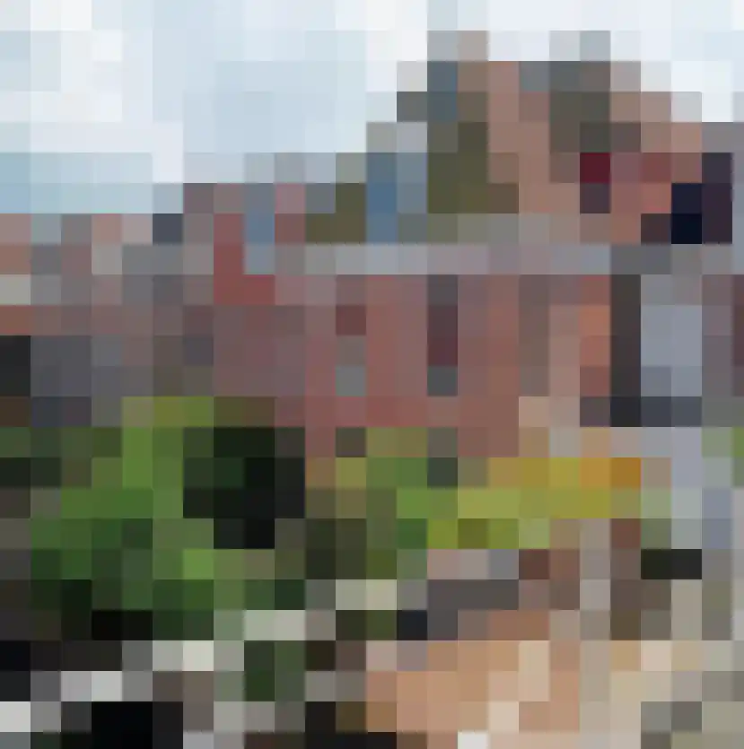 Dijkstraat 27 Appingedam thumbnail 61