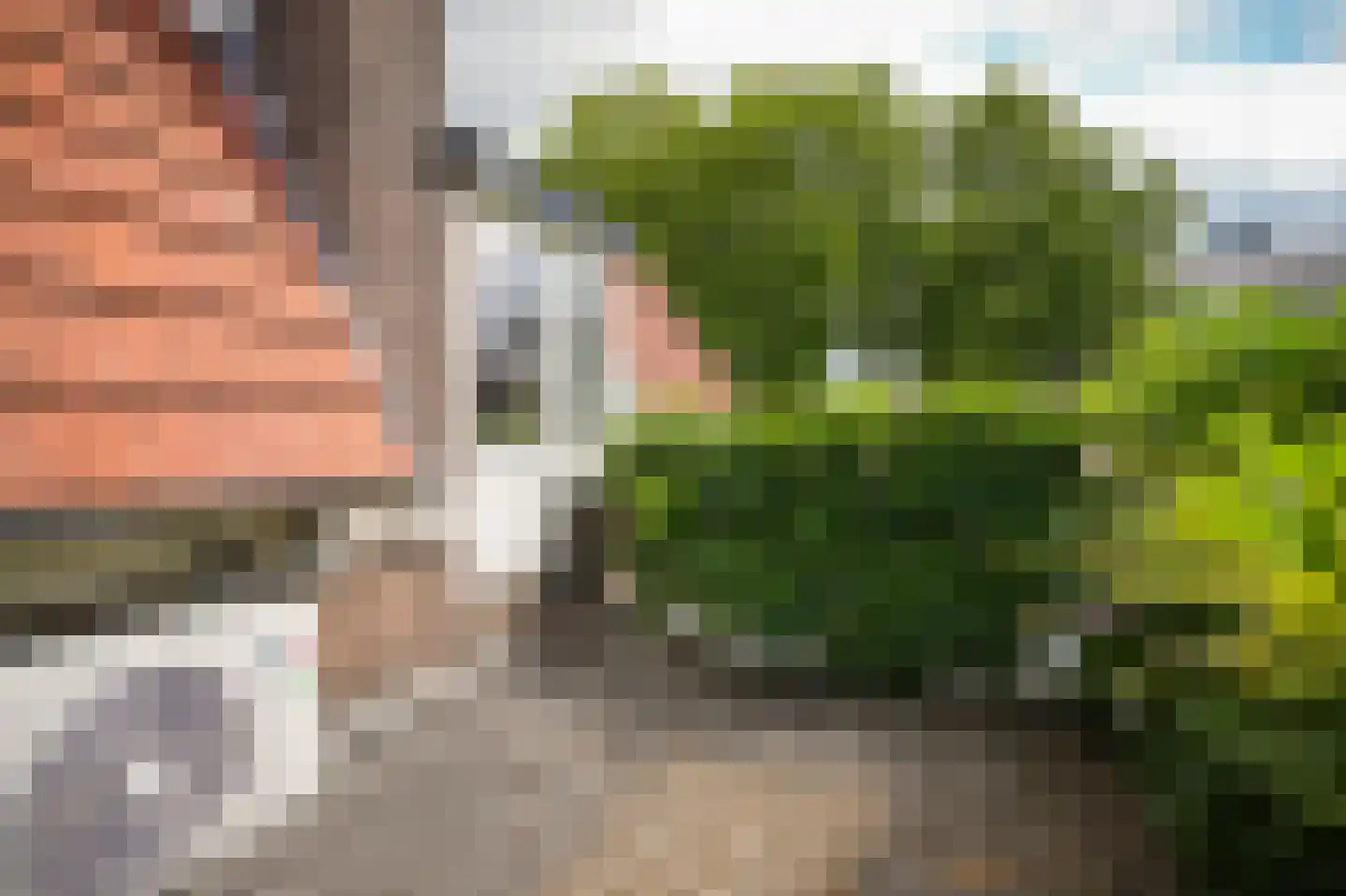 Dijkstraat 27 Beneden-Leeuwen thumbnail 31