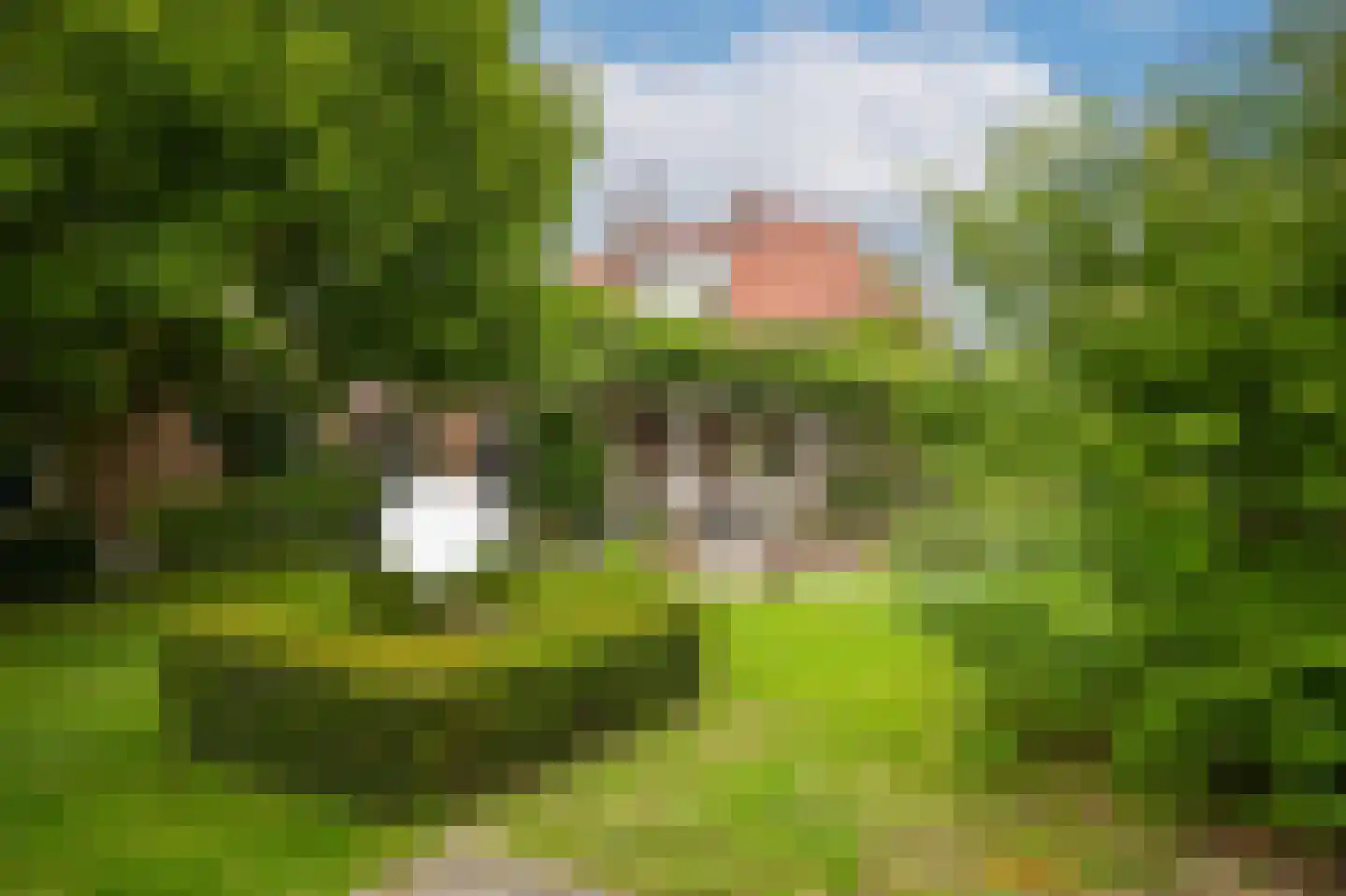 Dijkstraat 27 Beneden-Leeuwen thumbnail 43