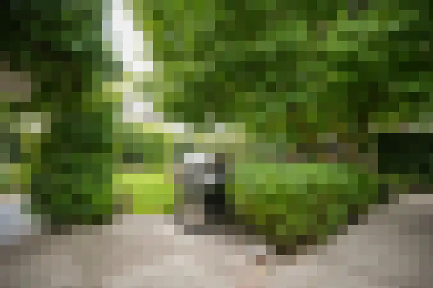 Dijkstraat 27 Beneden-Leeuwen thumbnail 45